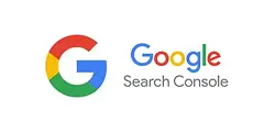 search console